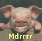 Avatar de l’utilisateur