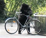 Avatar de l’utilisateur